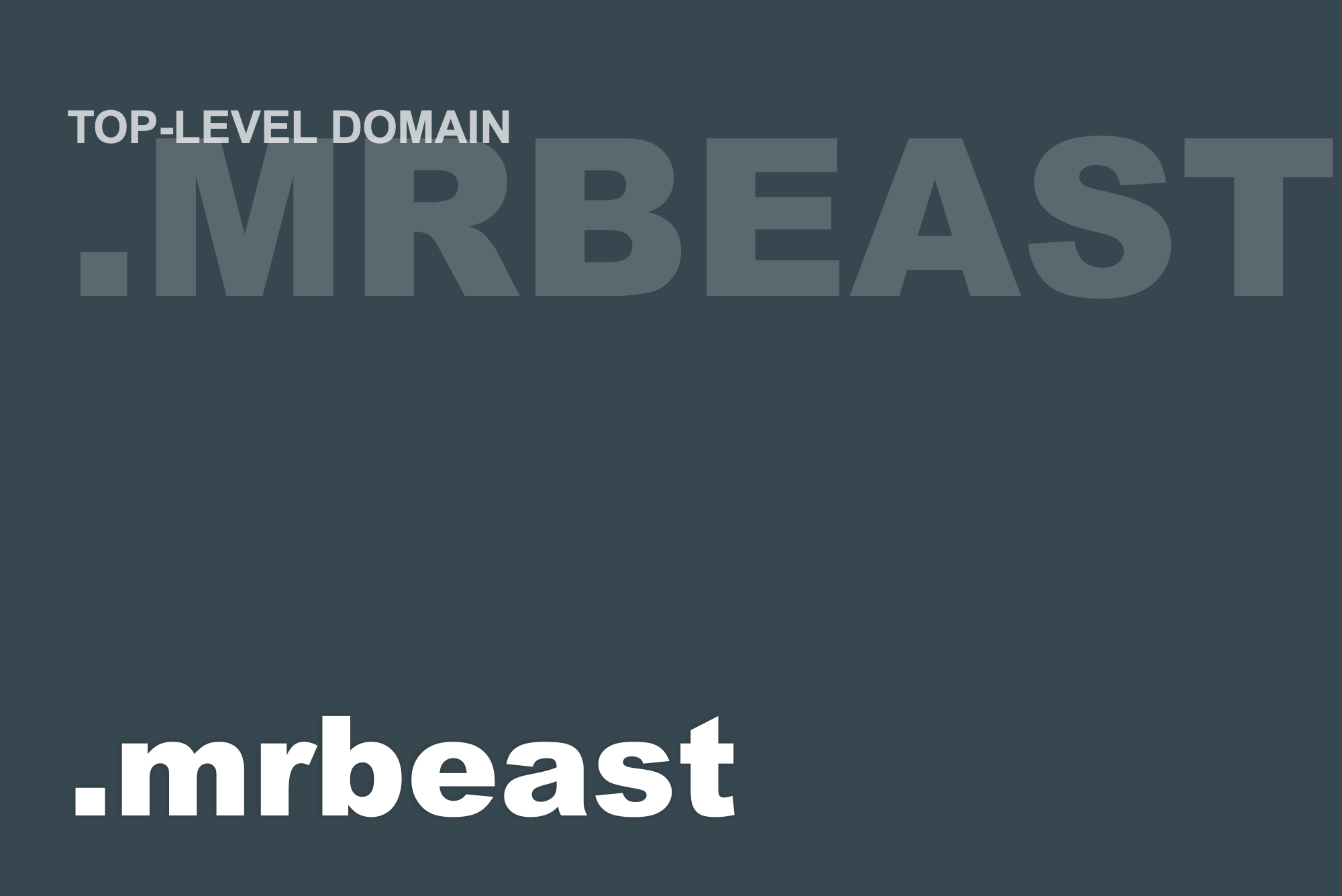 mrbeast domains